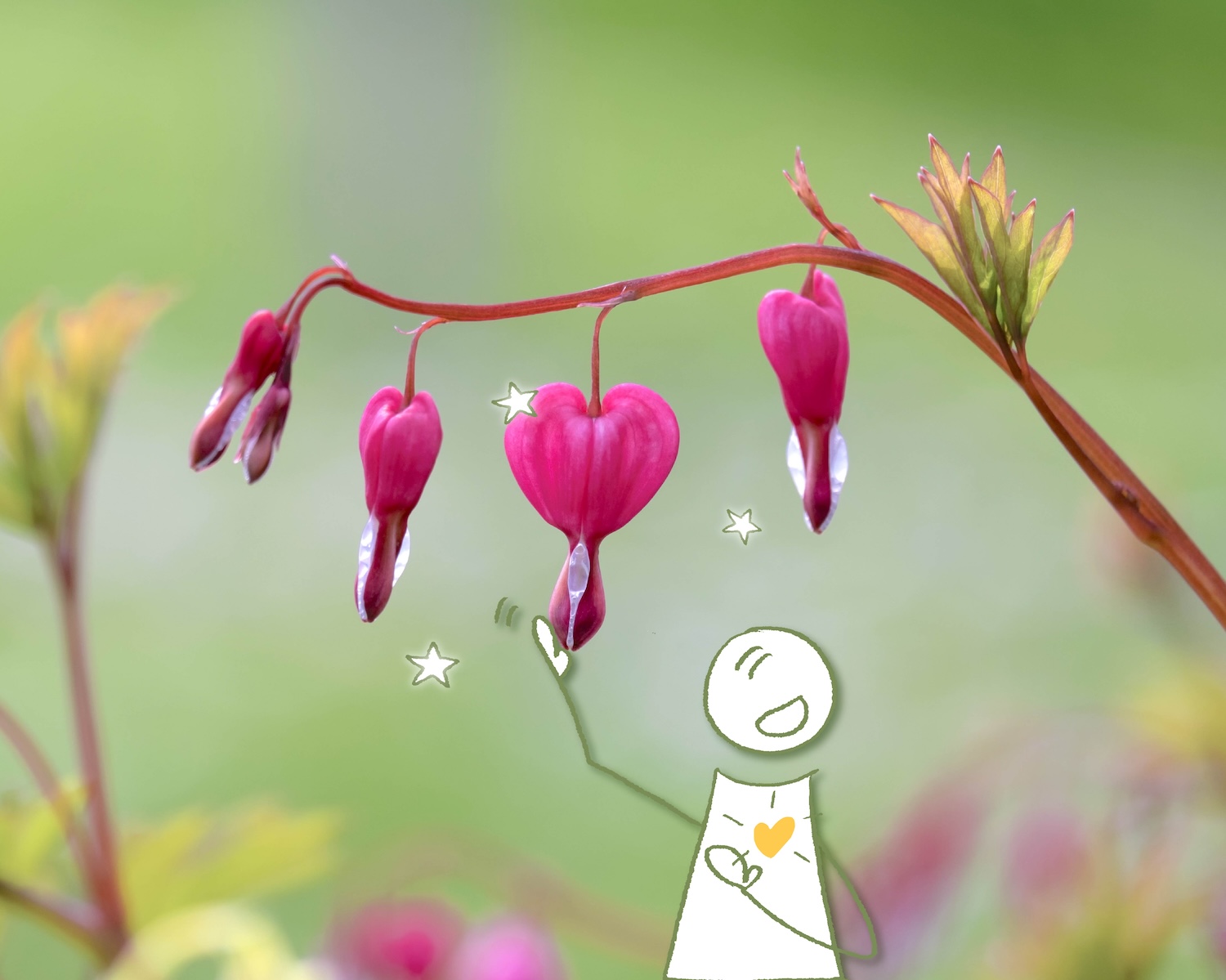 Human Design retraite beeld