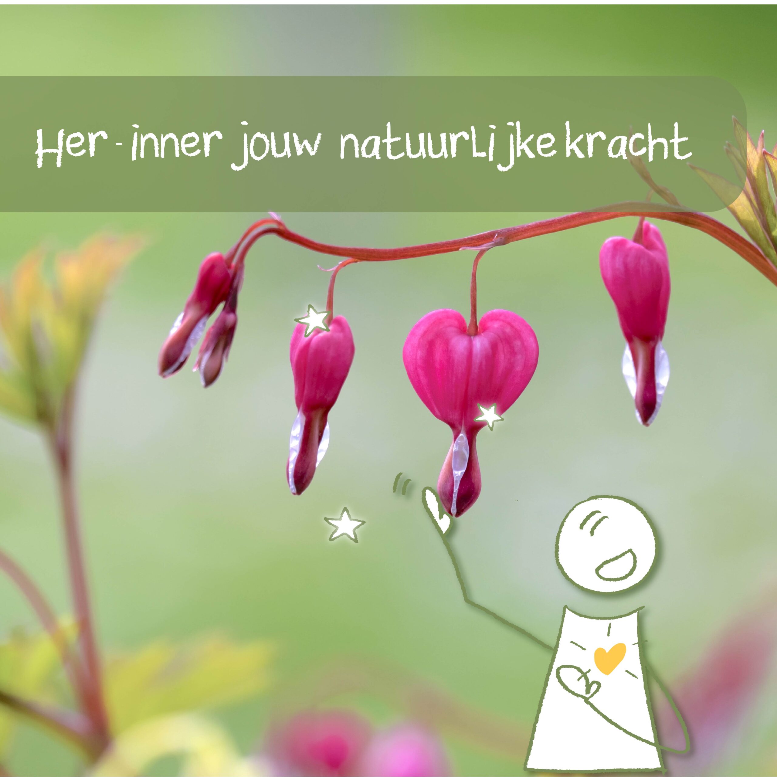 Human Design retraite individueel