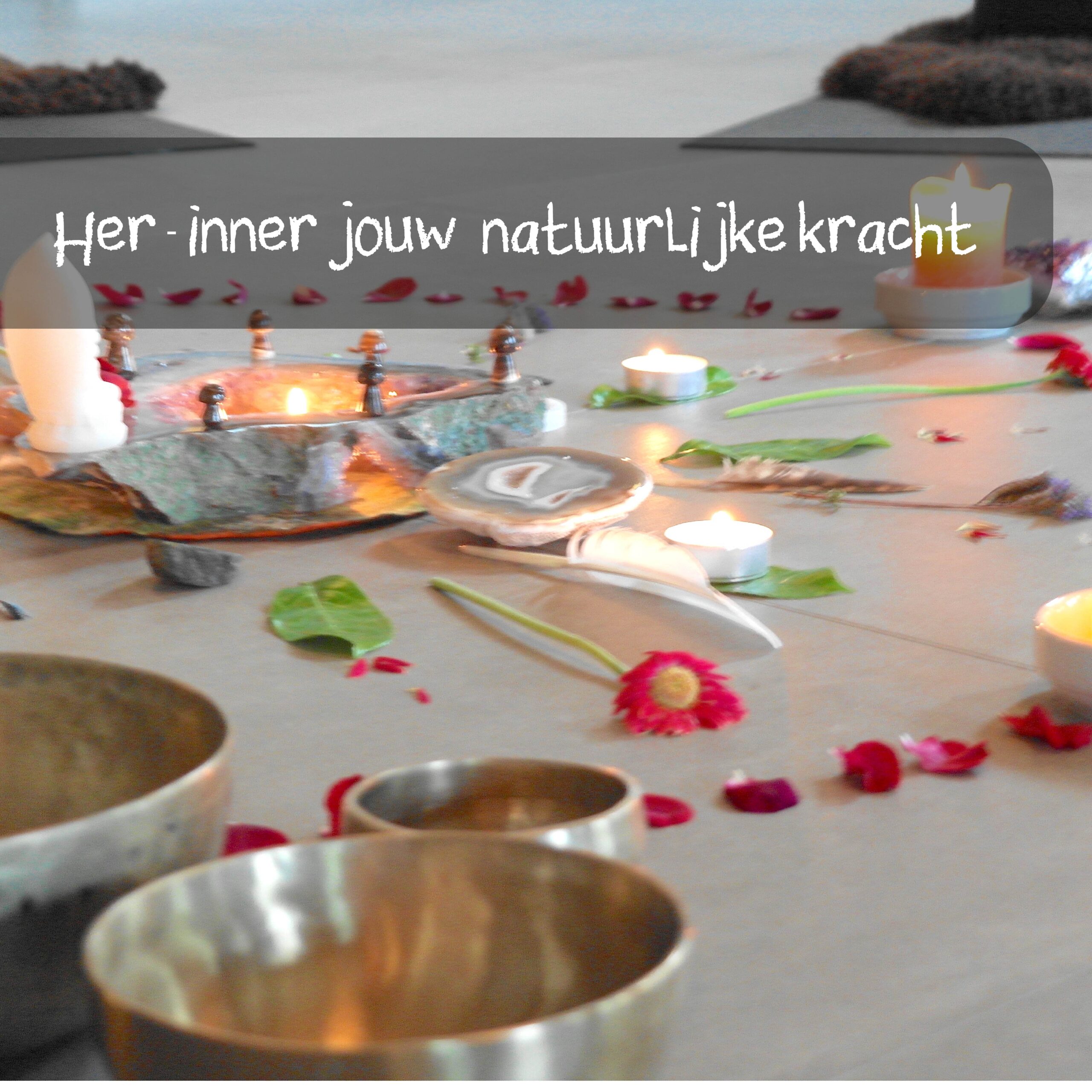 Human Design retraite regulier