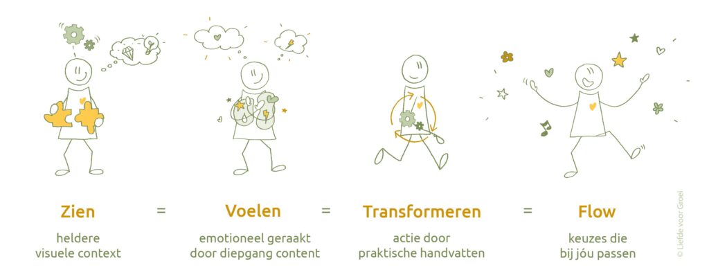 zien_voelen_transformeren_flow