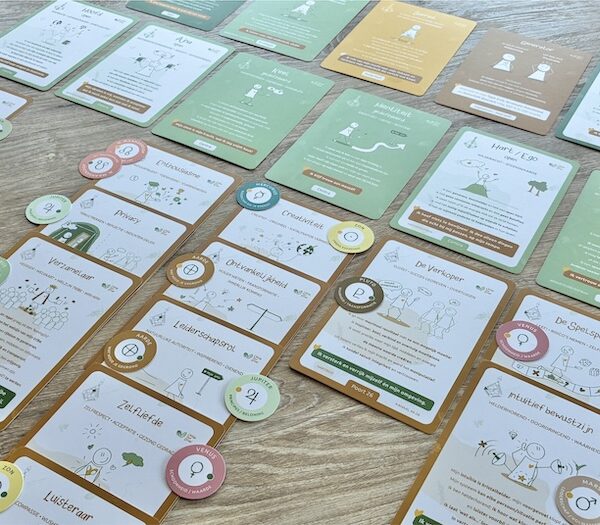 Uitgebreide Human Design reading   particulieren