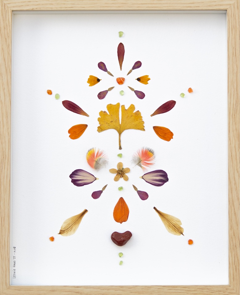 Natuur Wijzer maatwerk