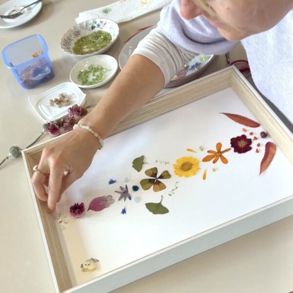Natuur wijzer Workshop