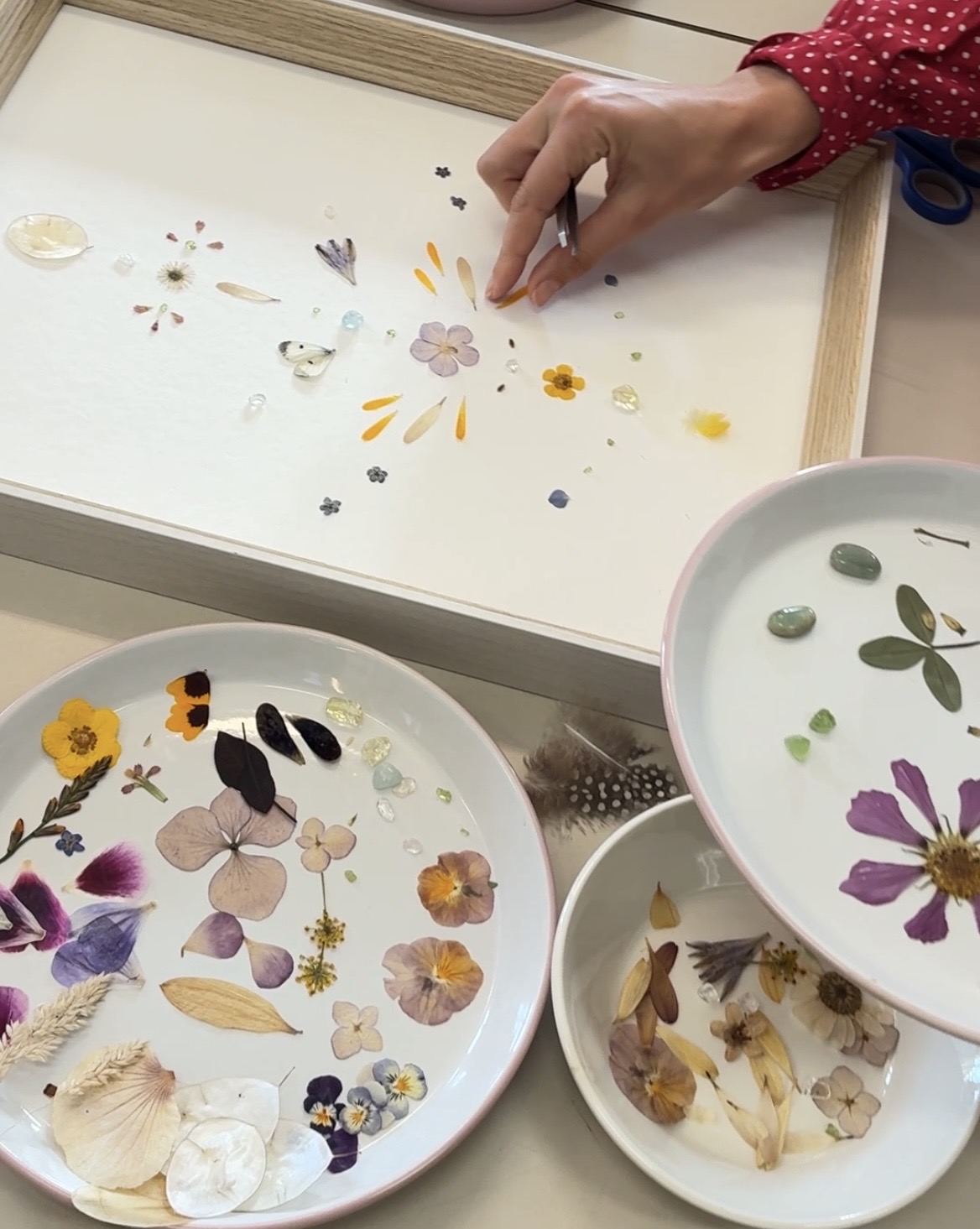 Natuur wijzer Workshop Afbeelding 2