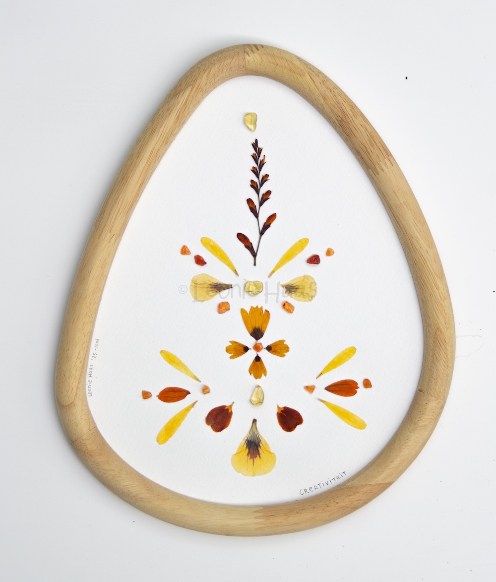 Natuur Wijzer Creativiteit Afbeelding 2
