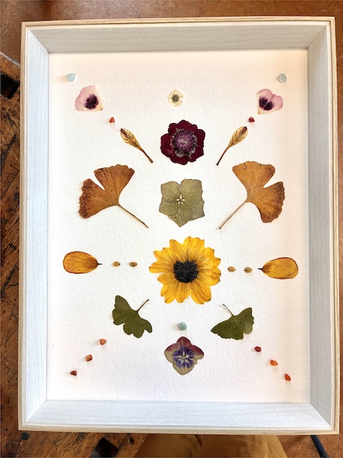 Natuur wijzer Workshop Afbeelding 12