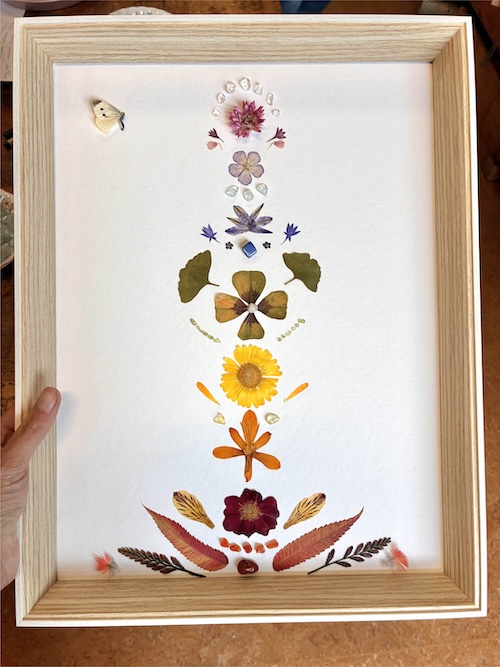 Natuur wijzer Workshop Afbeelding 13