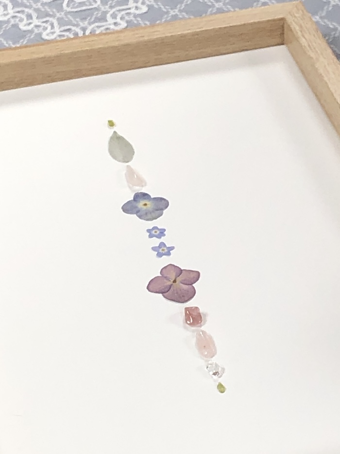 Natuur wijzer Workshop Afbeelding 6