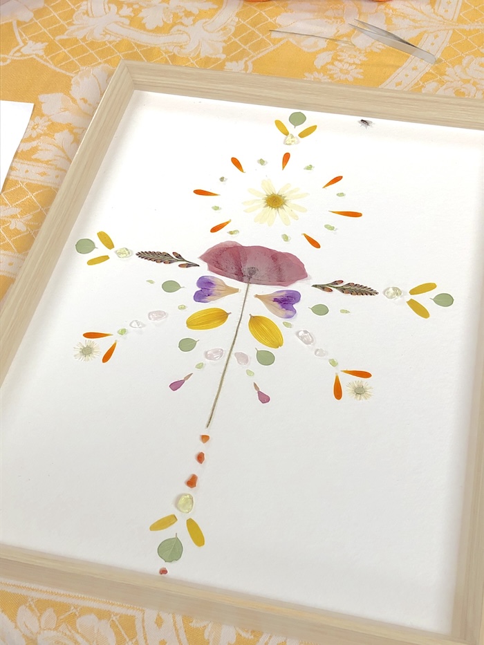 Natuur wijzer Workshop Afbeelding 8