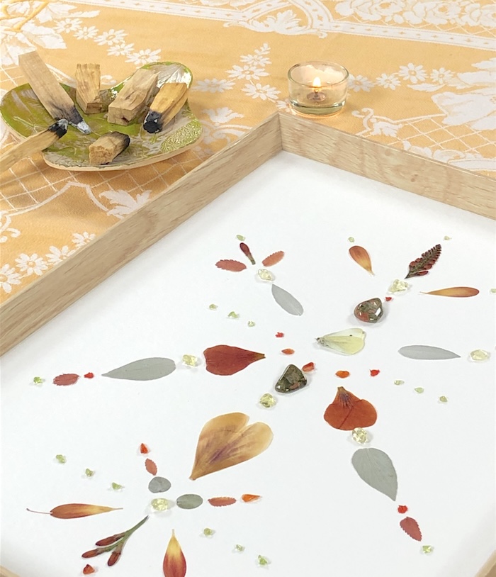Natuur wijzer Workshop Afbeelding 10