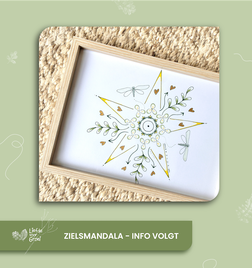 Blok mandala kopie
